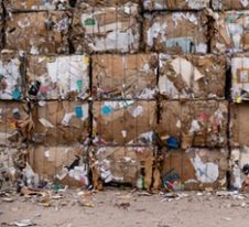 Semaine européenne de réduction des déchets : comment le digital contribue à la gestion des déchets